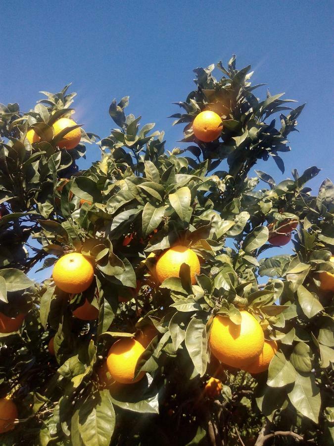 Quinta Do Tempo Turismo Rural Monchique Eksteriør billede
